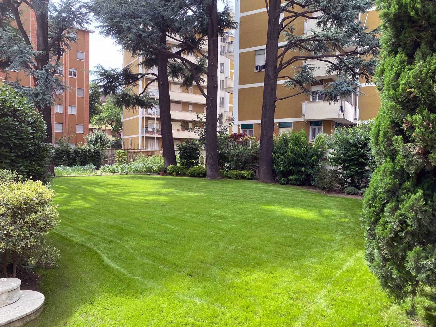 Immagine servizio manutenzione